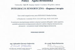 Agata-Brodzinska-diagnoza-SI