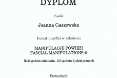 dyplom8-1